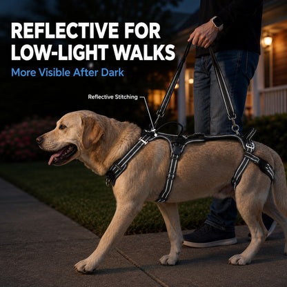 Full-Body Dog Lift Harness – Weak Hind Leg Support