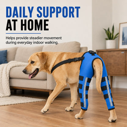 Reflective Rear Leg Dog Brace – Support & Visibility