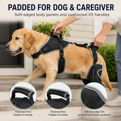 Full-Body Lift Harness – Dual Rear-Leg Support