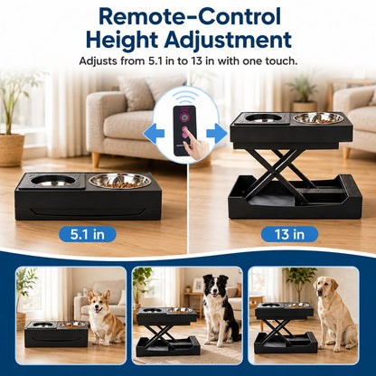 Remote-Control Dog Feeding Station – Adjustable Height