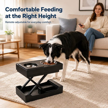 Remote-Control Dog Feeding Station – Adjustable Height