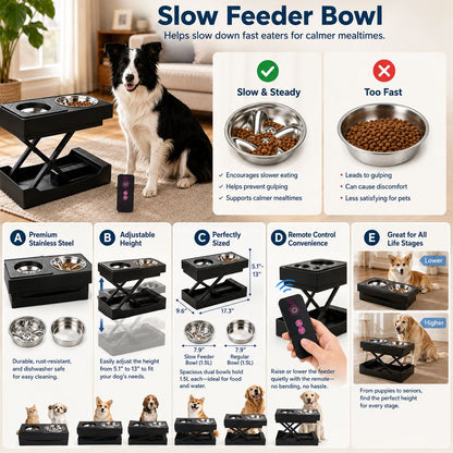 Remote-Control Dog Feeding Station – Adjustable Height
