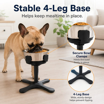 Tilted Elevated Dog Bowl – Less Neck Strain, Slow Feeding