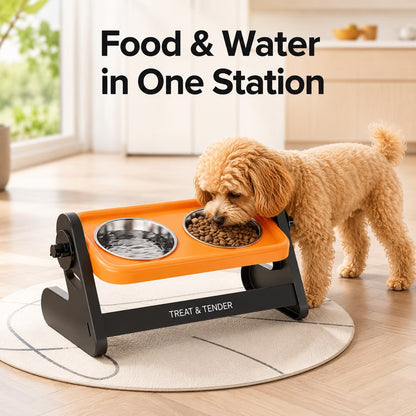 Elevated Tilted Steel Pet Bowls – Easier, Cleaner Meals