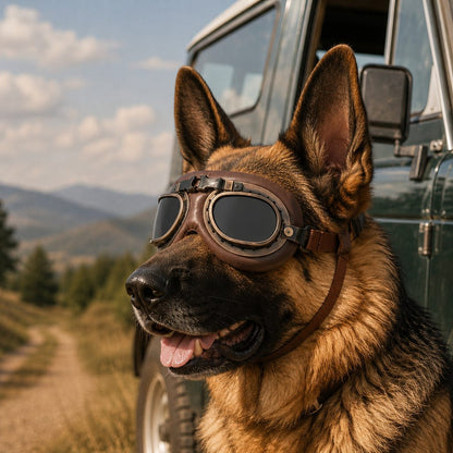 Retro Aviator Dog Goggles – Wind & Dust Shield