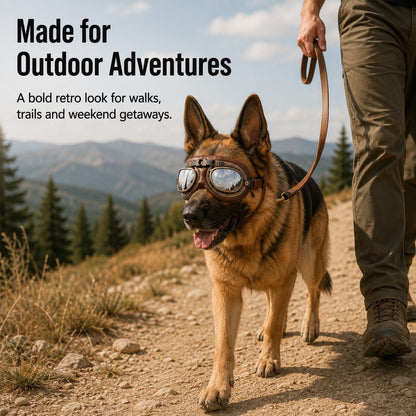 Retro Aviator Dog Goggles – Wind & Dust Shield