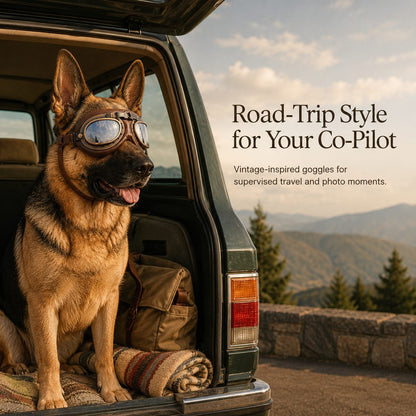 Retro Aviator Dog Goggles – Wind & Dust Shield