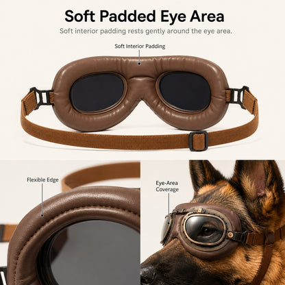 Retro Aviator Dog Goggles – Wind & Dust Shield