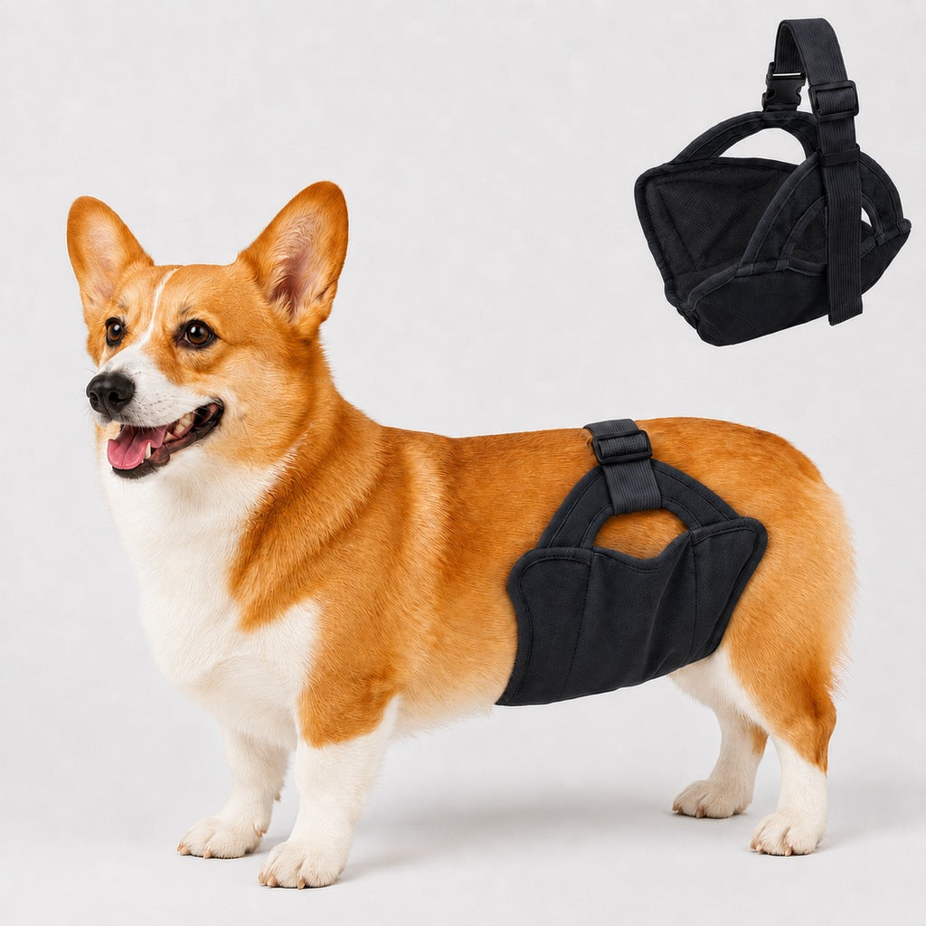 Reusable Female Dog Diaper – Adjustable & Washable