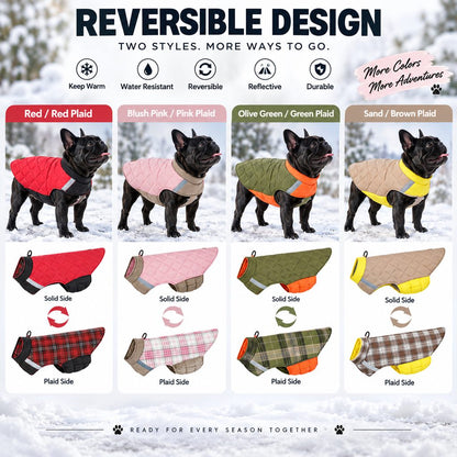Reversible Quilted Dog Coat – Water-Resistant 2-in-1