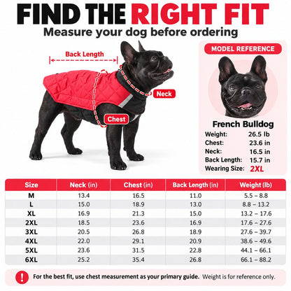 Reversible Quilted Dog Coat – Water-Resistant 2-in-1