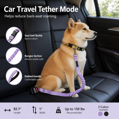 Hands-Free Bungee Dog Leash – Less Pulling on Runs