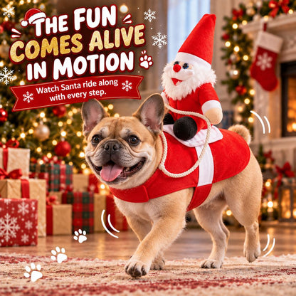 Santa Rider Pet Costume – Funny Christmas Photos