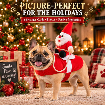 Santa Rider Pet Costume – Funny Christmas Photos