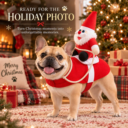 Santa Rider Pet Costume – Funny Christmas Photos