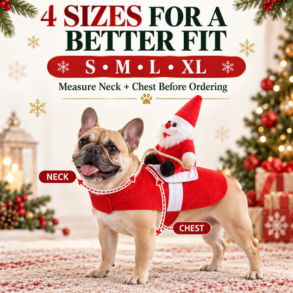 Santa Rider Pet Costume – Funny Christmas Photos