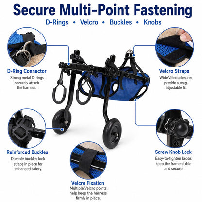 Adjustable Dog Wheelchair – Mobility for Weak Back Legs