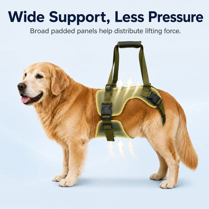 Padded Dog Lift Harness – Support for Weak Hind Legs