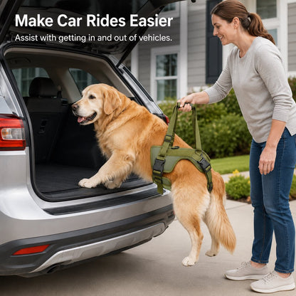 Padded Dog Lift Harness – Support for Weak Hind Legs