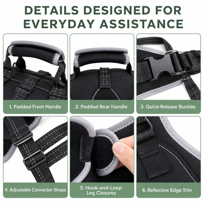 Full-Body Lift Harness – Dual Rear-Leg Support