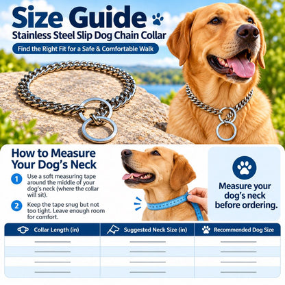 Stainless Steel Slip Chain Dog Collar – Smooth Training