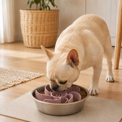 Cut-to-Fit Slow Feeder Insert – Slows Fast Eaters