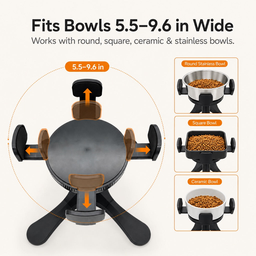Tilted Elevated Dog Bowl – Less Neck Strain, Slow Feeding