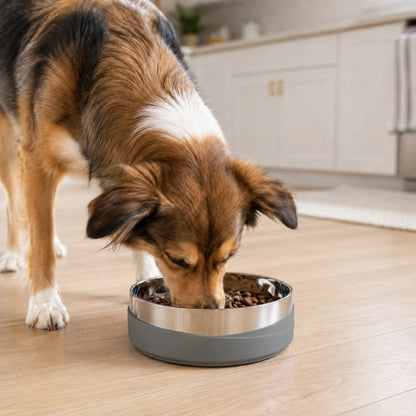 Weighted Non-Slip Pet Bowl – No Sliding or Mess