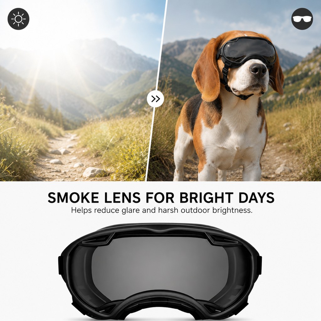 Outdoor Dog Goggles – Dust, Sand & Wind Protection