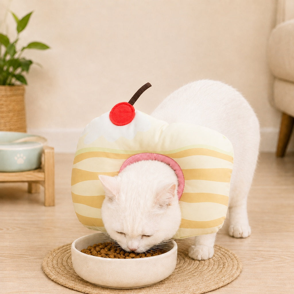Soft Cat Recovery Collar – Eat & Sleep Comfortably