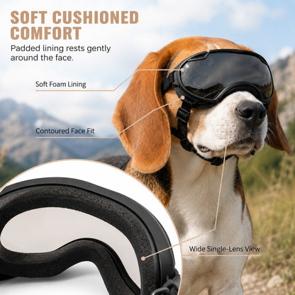 Outdoor Dog Goggles – Dust, Sand & Wind Protection