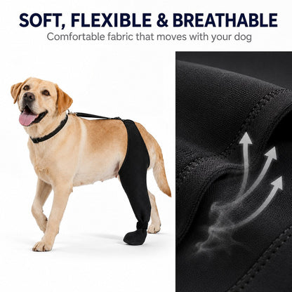 Rear Leg Recovery Sleeve with Paw Cover – Limits Licking
