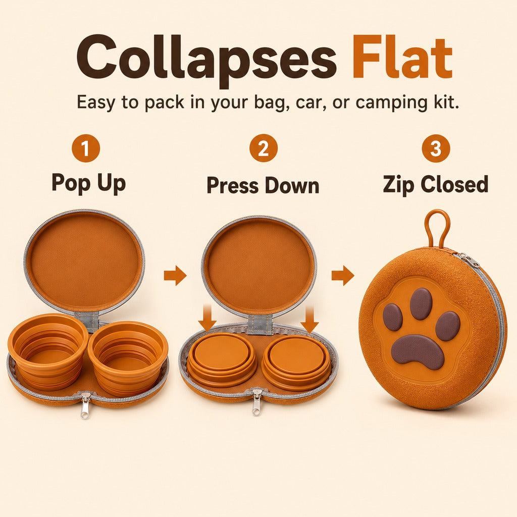 Paw-Shaped Collapsible Travel Bowls – Feed Anywhere