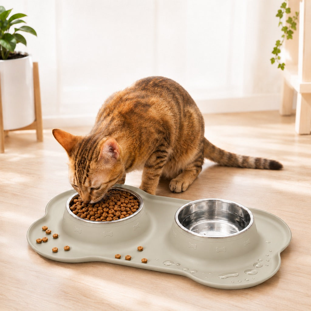 Spill-Proof Dual Pet Bowl – Mess-Free Food & Water