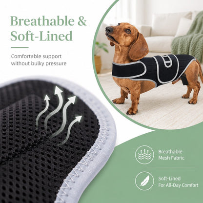 Dog Back Support Vest – Spinal Support for Dachshunds