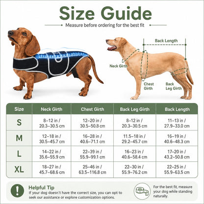 Dog Back Support Vest – Spinal Support for Dachshunds