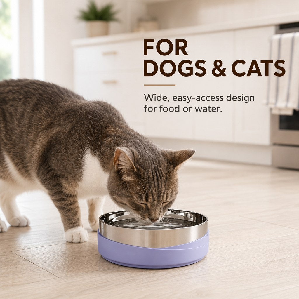 Weighted Non-Slip Pet Bowl – No Sliding or Mess