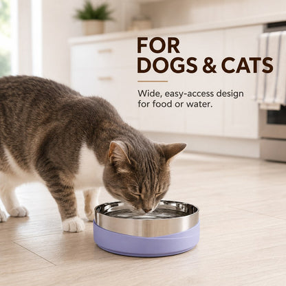 Weighted Non-Slip Pet Bowl – No Sliding or Mess