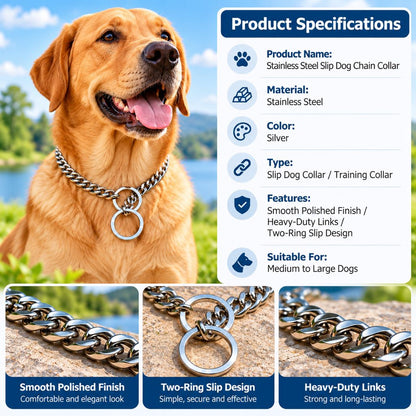 Stainless Steel Slip Chain Dog Collar – Smooth Training