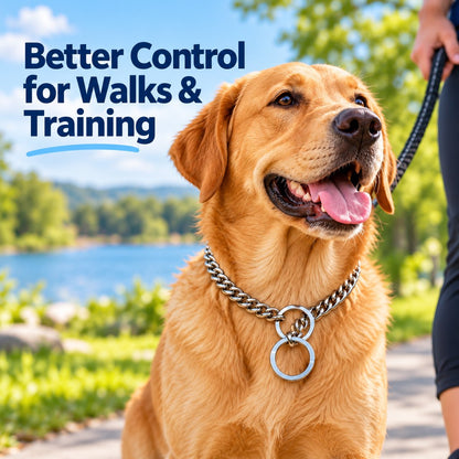 Stainless Steel Slip Chain Dog Collar – Smooth Training