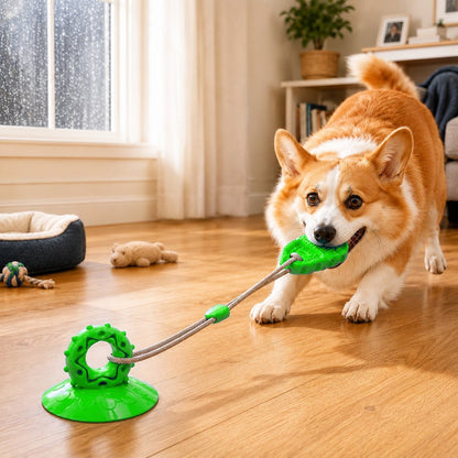 Suction Cup Dog Tug Toy – Saves Shoes, Beats Boredom