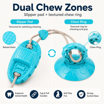 Suction Cup Dog Tug Toy – Saves Shoes, Beats Boredom