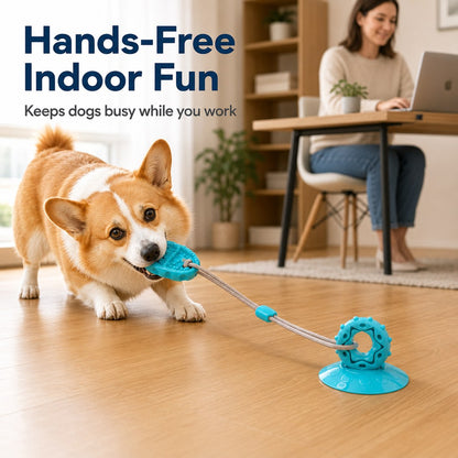 Suction Cup Dog Tug Toy – Saves Shoes, Beats Boredom