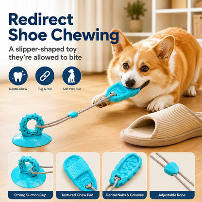 Suction Cup Dog Tug Toy – Saves Shoes, Beats Boredom