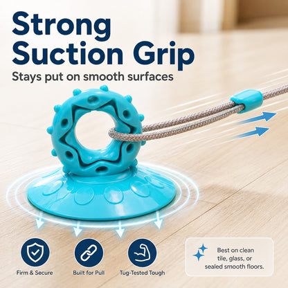 Suction Cup Dog Tug Toy – Saves Shoes, Beats Boredom