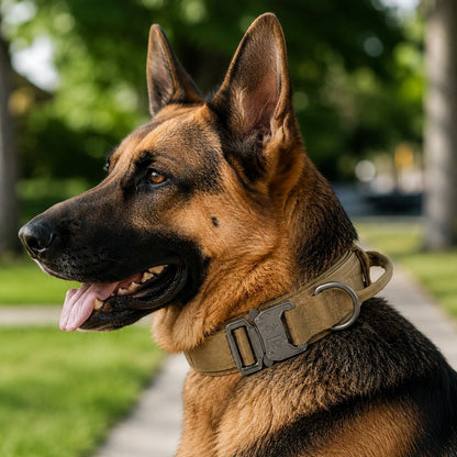 Heavy-Duty Tactical Dog Collar – Padded Handle Control