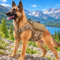Coyote Brown