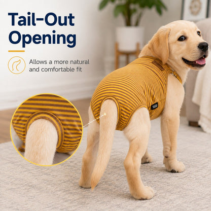 Female Dog Heat Pants – Washable with Straps