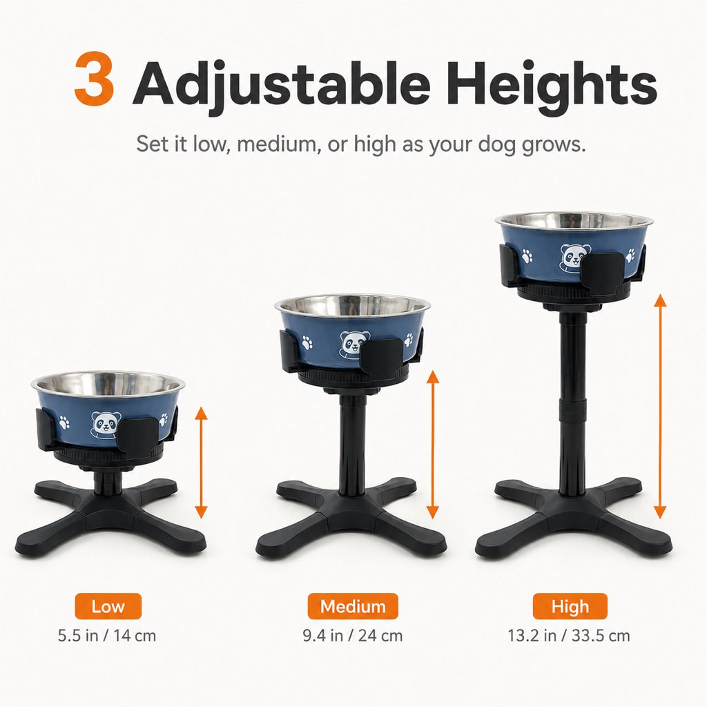 Tilted Elevated Dog Bowl – Less Neck Strain, Slow Feeding
