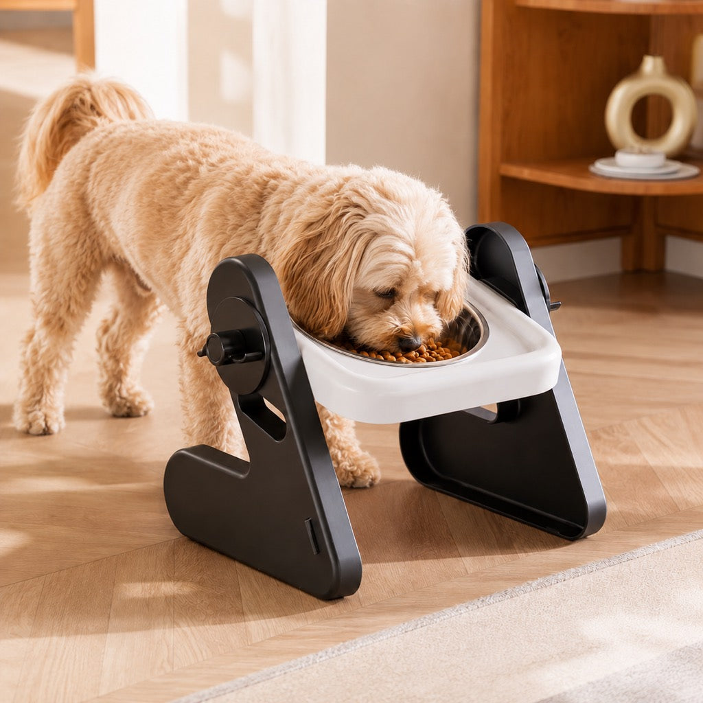 Elevated Tilted Steel Pet Bowls – Easier, Cleaner Meals